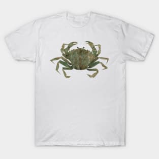 European shore crab (green) T-Shirt